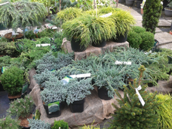 Bild 2 von Garten Mandl GmbH