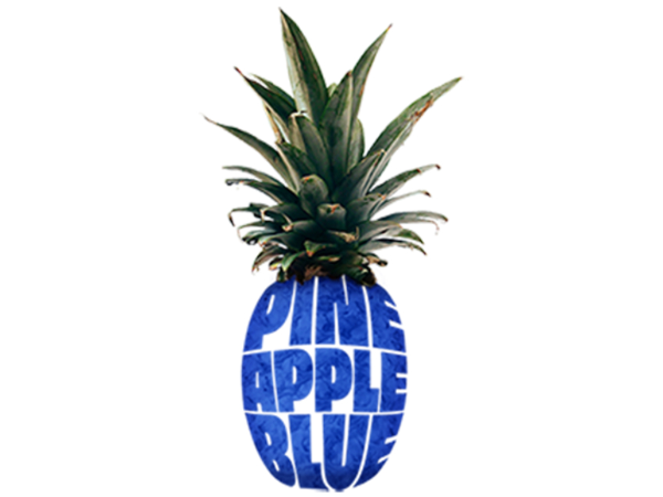 Bild 1 von PineappleBlue - Agentur für Webdesign & Co