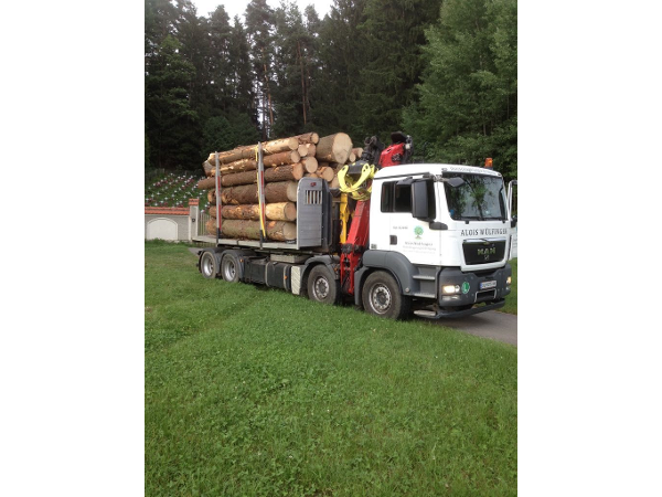 Bild 4 von Alois jr Wülfinger