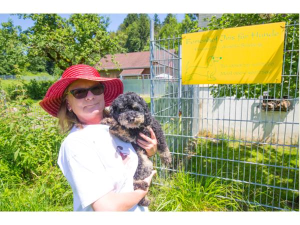 Bild 19 von Ferienhof Iris für Hunde