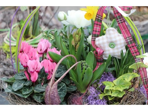 Bild 27 von Gartenbau-Blumen Helmut Friedl