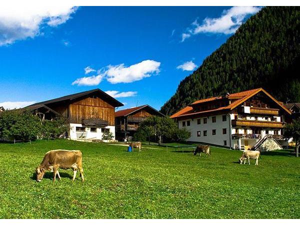 Bild 1 von Pfannelerhof