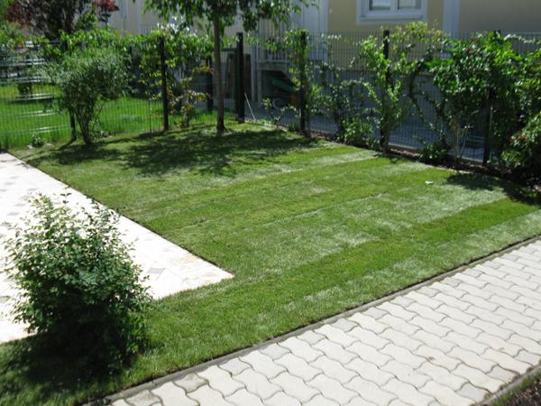 Bild 1 von Heigl Philipp - Garten & Landschaftspflege