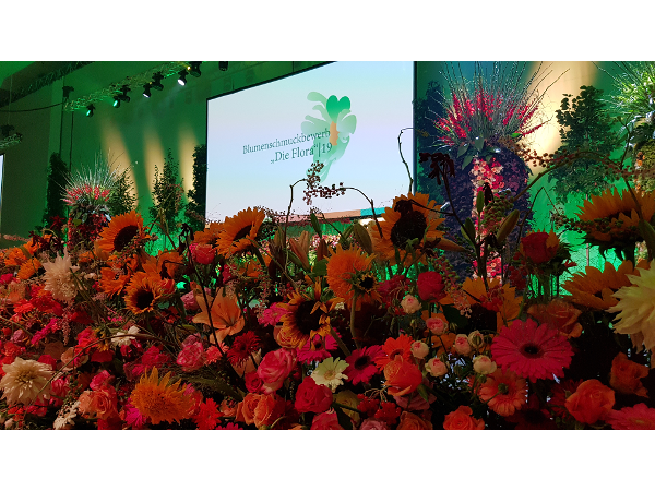 Bild 118 von Gartenbau-Blumen Helmut Friedl