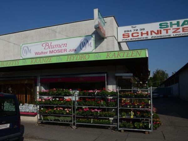 Bild 1 von Blumenhandlung Walter Moser