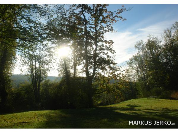 Bild 1 von Schlosspark Mauerbach