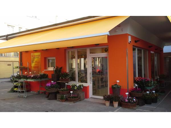 Bild 1 von Blumenecke am Schlingermarkt FLEUROP - Service