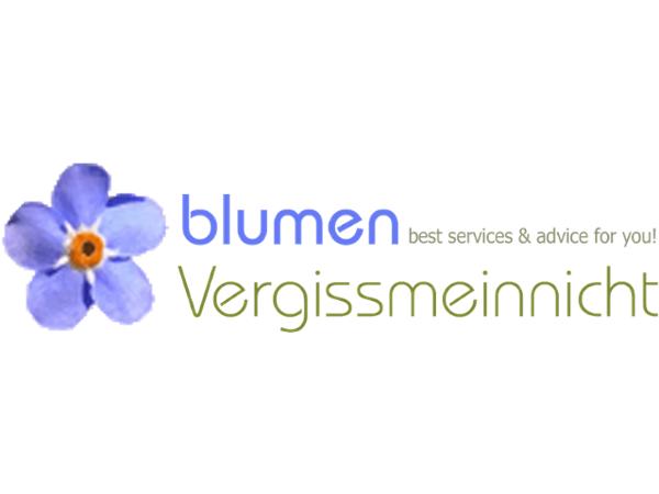 Bild 1 von Blumen Vergissmeinnicht