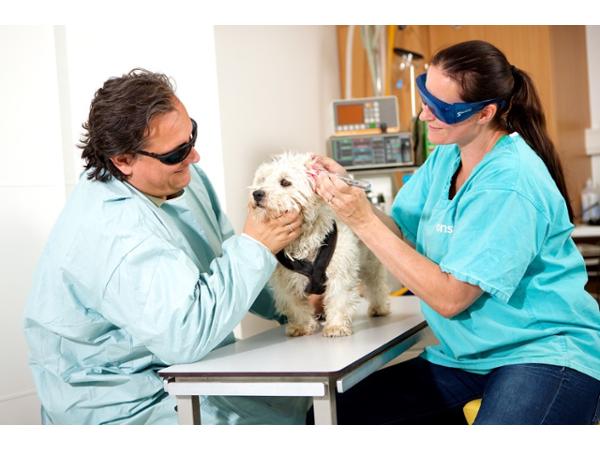 Bild 5 von Moser Tierärzte GmbH - Dr. Volker Moser und Mag. Sabine Moser