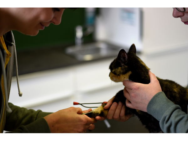 Bild 33 von Tierarztpraxis Meusburger und Petshop
