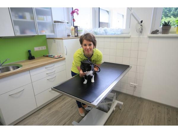 Bild 4 von Ganzheitliche Tierarztpraxis - Mag. med. vet. Christine Pichler