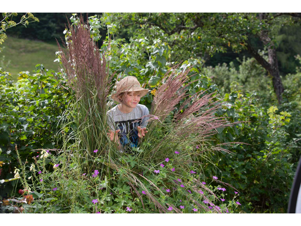 Bild 17 von Eder Gartenarchitektur GmbH