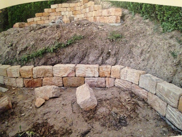 Bild 8 von DMK Gartenservice