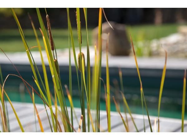 Bild 20 von Hablesreiter Gartengestaltung GmbH