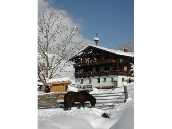 Bild 4 von Pension-Reiterhof Nigglgut