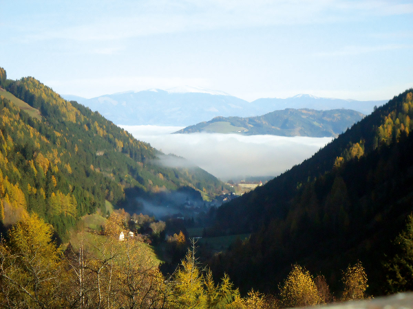 Bild 8 von Gemeindeamt der Gemeinde Gaal