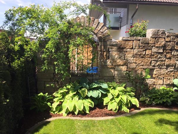 Bild 8 von Gartenmeister24 - Wolfgang Khanna