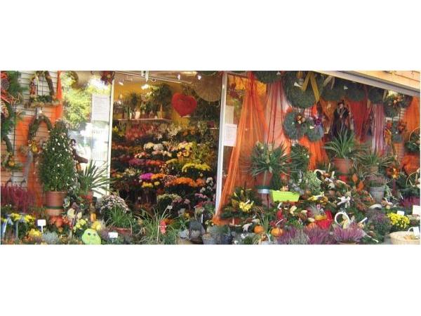 Bild 21 von Blumen Renate Petrides