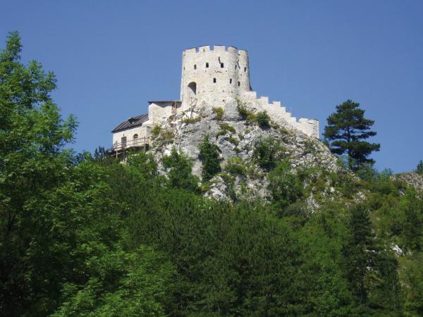 Bild 12 von Hotel-Restaurant Forellenhof