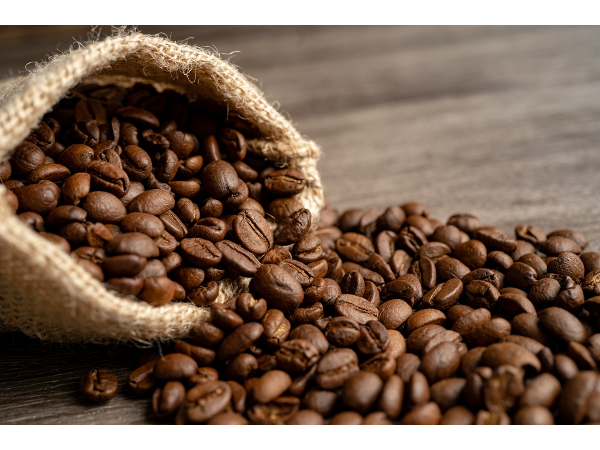 Bild 1 von coffienna GmbH