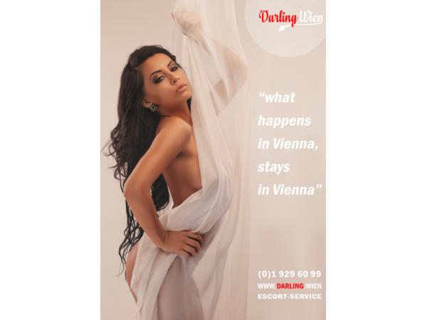 Bild 3 von Darling Wien Escort
