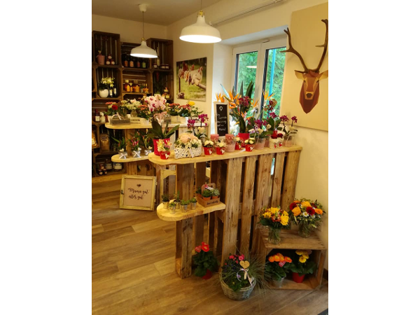 Bild 4 von blumenzeit - Anneliese Mahl