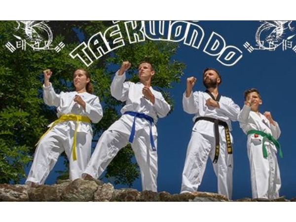 Bild 1 von Taekwondo Danisans