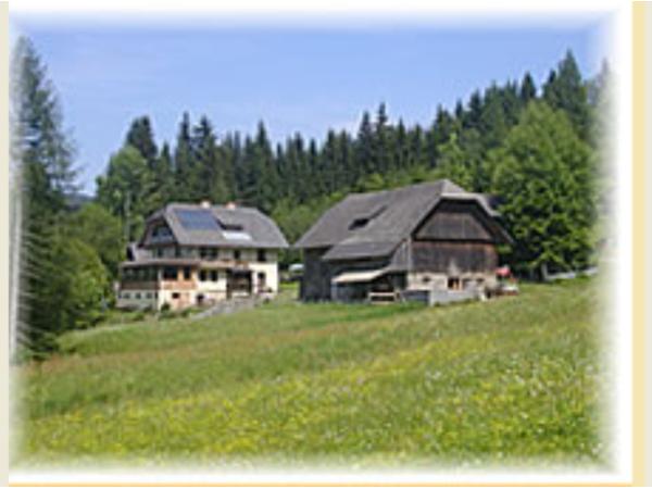 Bild 6 von Steinacher Hofladen u Buschenschenke