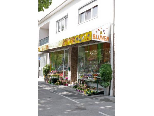 Bild 1 von Blumen Brigitte