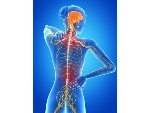 Bild 5 von Praxis für Integrative und Cranio Sacrale Körperarbeit