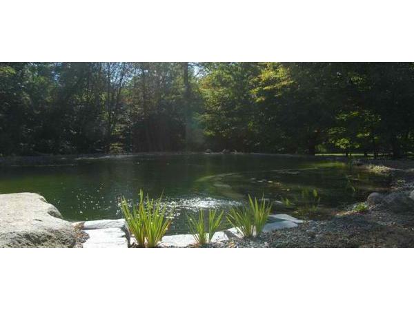 Bild 19 von Schwimmteich & Gartengestaltung Matheis KG