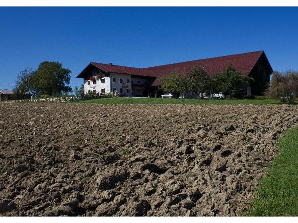 Bild 4 von Gugghof-Edelbrände & Liköre - Rupert Felber