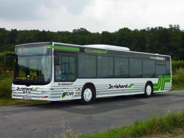 Bild 11 von Dr. Richard Reisebus GmbH & Co KG