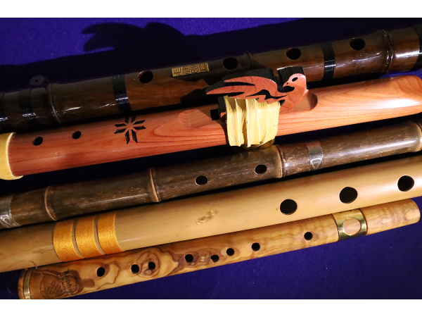 Bild 6 von Gandharva Loka - Klanghaus - The World Music Store