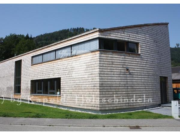 Bild 6 von Rapold Harald Schindelheimat