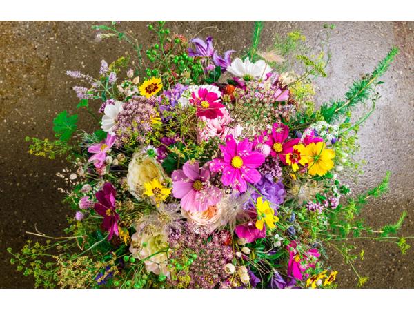 Bild 3 von der pranzl Blumen & Co.