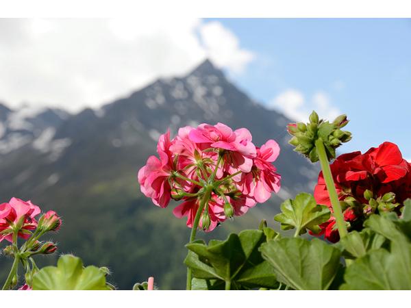 Bild 14 von Ferienhaus Bergblick
