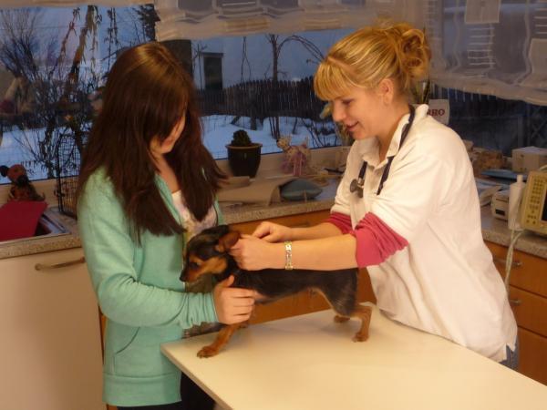 Bild 4 von Jungwirth Kathrin Mag.med.vet. Tierärztin