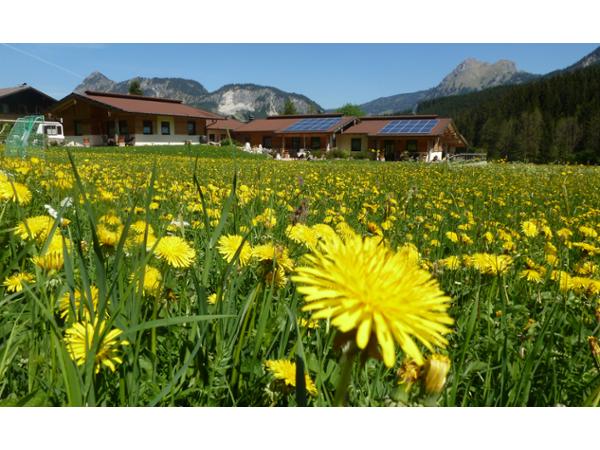 Bild 1 von Almdorf Tirol Familie Maurer