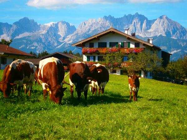 Bild 2 von Filzenhof Familie Berger