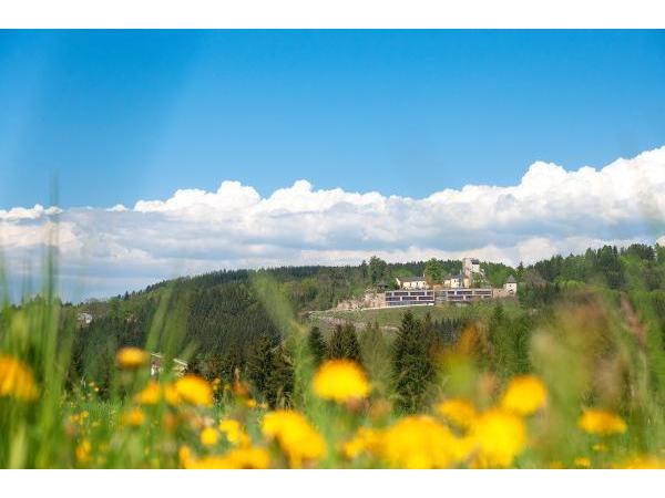 Bild 5 von Schatz.Kammer Burg Kreuzen