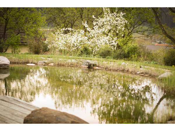 Bild 28 von GARTEN HÖDL Gartengestaltung