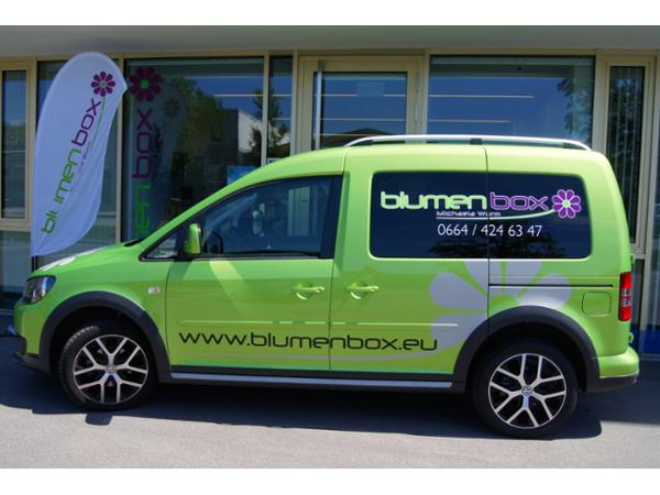 Bild 1 von Michaela Wurm - blumenbox