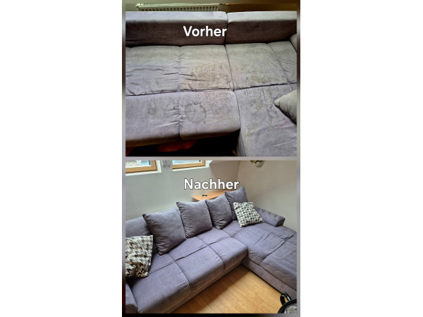 Bild 6 von Sitz Blitz | Polster-, Teppich- & Matratzenreinigung Linz