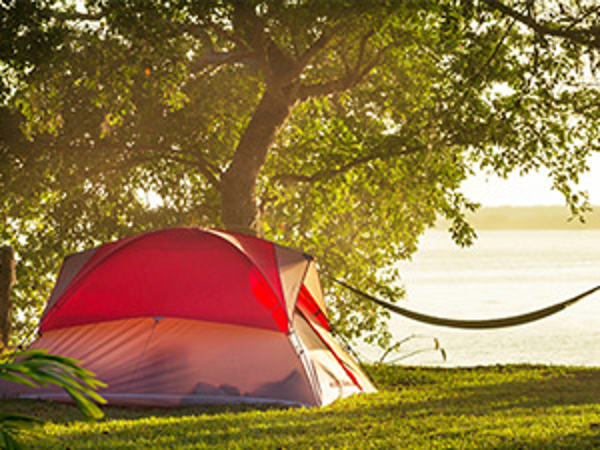 Bild 1 von Auwerk - Camping, Ing. Markus Weissenböck