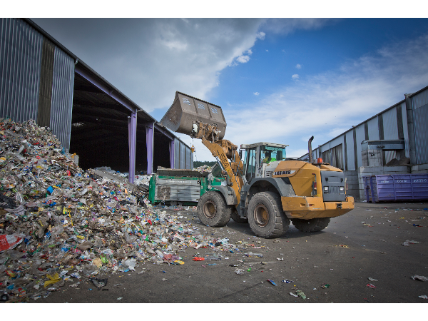 Bild 6 von Müllex Umwelt-Säuberung GmbH