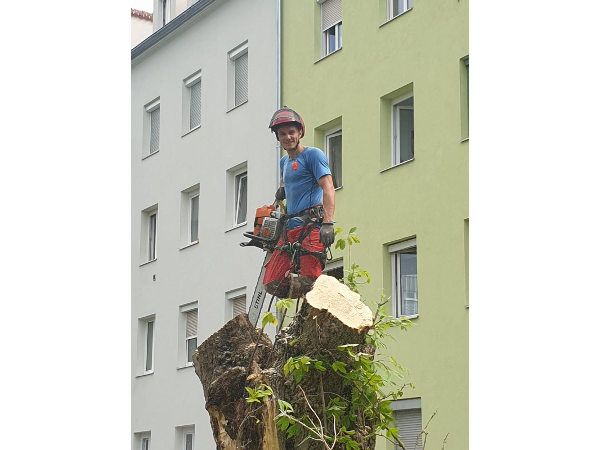 Bild 3 von Descher Eric Andreas