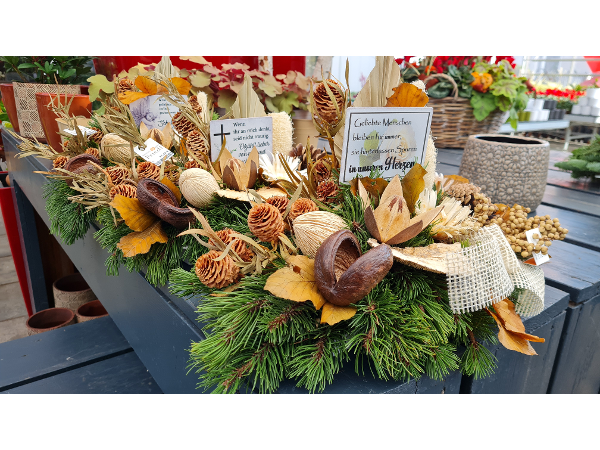 Bild 225 von Gartenbau-Blumen Helmut Friedl