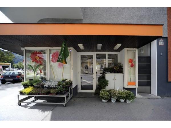 Bild 1 von Blumen B & B R. Bigl GesmbH