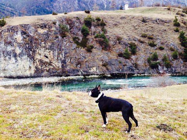Bild 3 von Neurauter Lena